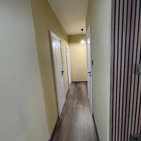 Bm Aparts Rustic * Pleven