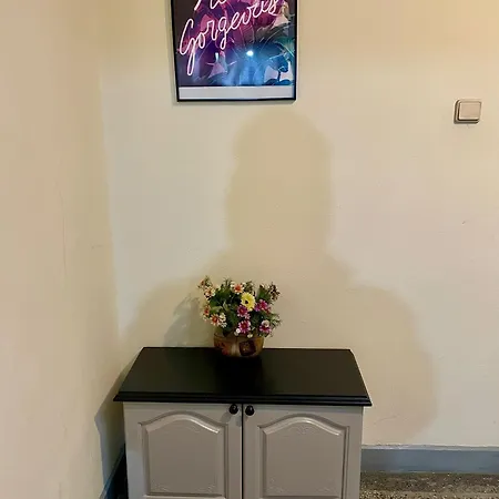 Bm Aparts Rustic Pleven