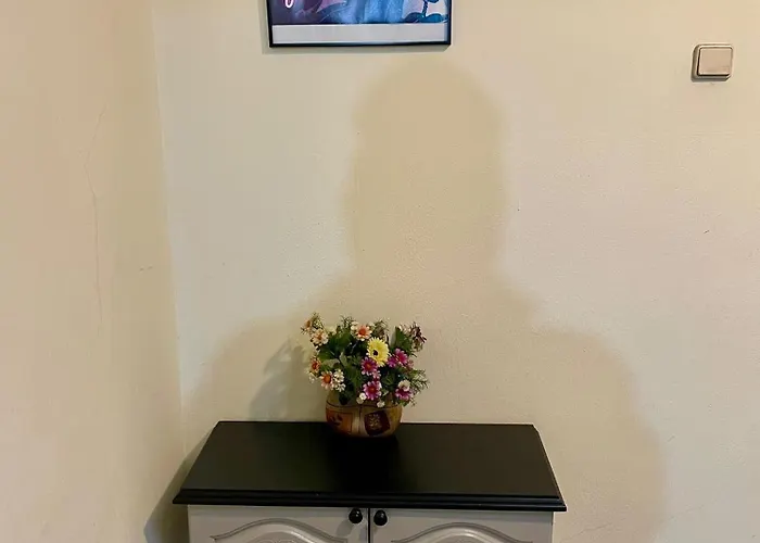 Bm Aparts Rustic Pleven